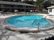 Kidney-shaped community pool with lounge chairs at 101 Lake Ne Ave # 222, Largo, FL 33771