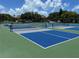 Well-maintained pickleball courts at 203 Mariner Dr # 203, Tarpon Springs, FL 34689