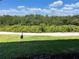 Peaceful backyard view with lush greenery at 203 Mariner Dr # 203, Tarpon Springs, FL 34689