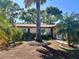 House exterior showcasing a palm tree and well-maintained yard at 1538 Lake S Ave, Clearwater, FL 33756