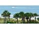 Scenic ocean view framed by lush palm trees, with a boat gliding across the water on a clear day at 1380 Gulf Blvd # 307, Clearwater Beach, FL 33767
