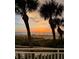 Beautiful sunset view of the beach with palm trees at 1380 Gulf Blvd # 307, Clearwater Beach, FL 33767