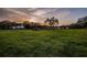 Expansive green space featuring lush grass and mature trees at sunset at 2228 Swedish Dr # 42, Clearwater, FL 33763