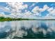 Serene lake view with lush greenery at 3839 Berkshire Ct, Palm Harbor, FL 34684