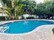 Community pool with surrounding lush tropical landscaping at 9166 Blind Pass Rd, St Pete Beach, FL 33706