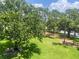 Expansive green lawn with mature trees and a paved path at 36750 Us Highway 19 N # 15-310, Palm Harbor, FL 34684