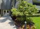 Attractive condo entrance with walkway and lush landscaping at 36750 Us Highway 19 N # 15-310, Palm Harbor, FL 34684