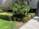 Lush landscaping with flowering bushes and manicured hedges at 36750 Us Highway 19 N # 15-310, Palm Harbor, FL 34684