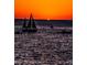 Sailboats at sunset on the water at 806 Columbus Dr, Tierra Verde, FL 33715