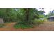 Vacant lot with mature trees and undergrowth at 8194 Wpa Rd, Brooksville, FL 34601