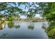 Scenic lake view with lush landscaping and palm trees at 2400 Feather Sound Dr # 1317, Clearwater, FL 33762