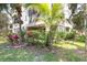 Landscaped backyard with tropical plants at 6226 Anhinga Pl, Tampa, FL 33615
