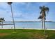 Stunning waterfront view with palm trees and a peaceful waterfront at 5130 Brittany S Dr # 202, St Petersburg, FL 33715