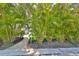 Picturesque front yard with mature palms framing the home and a vibrant mailbox adding a touch of charm at 13004 Boca Ciega Ave, Madeira Beach, FL 33708