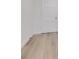 Hallway with light hardwood floors and crisp white trim at 7414 Van Dyke Rd, Odessa, FL 33556