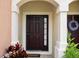 Attractive dark brown front door with sidelights and a wreath at 2619 Redford Way, Wesley Chapel, FL 33544