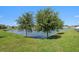Serene lake view with mature trees and lush greenery at 20591 Monza Loop, Land O Lakes, FL 34638
