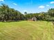 Spacious backyard with large grassy area and mature trees at 1811 Martin Rd, Dover, FL 33527