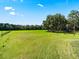Open pasture with a grassy field and tree line at 1811 Martin Rd, Dover, FL 33527