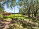 Spacious backyard with lush green grass and oak trees at 1811 Martin Rd, Dover, FL 33527