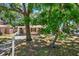 House with a tree-lined front yard at 6490 34Th N Ave, St Petersburg, FL 33710