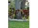 Landscaped area with tropical plants and large tree at 1638 Polo Club Dr, Tarpon Springs, FL 34689