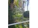 Backyard view showcasing a pond and lush landscaping at 1638 Polo Club Dr, Tarpon Springs, FL 34689