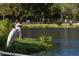 Great Egret by the waterfront at 2850 59Th S St # 204, Gulfport, FL 33707