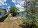 View of a residential backyard with patchy grass and some shrubs at 5060 86Th Ave N, Pinellas Park, FL 33782