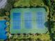 Three well-maintained tennis courts at 19830 Ellendale Dr, Land O Lakes, FL 34638