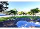 Landscaped front yard with young palm trees and manicured green grass at 1570 Preserve Way, Clearwater, FL 33764