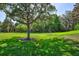 Lush green lawn with a large oak tree providing shade at 10426 48Th E Ct, Parrish, FL 34219