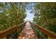 Scenic wooden dock extending over calm water, shaded by lush vegetation at 2848 Bayshore Trails Dr, Tampa, FL 33611