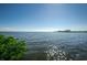 Scenic waterfront view with lush vegetation at 2746 Via Tivoli # 132B, Clearwater, FL 33764
