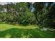 Private backyard with lush landscaping and mature trees at 1377 N Mcmullen Booth Rd # 1377, Clearwater, FL 33759