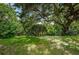 Peaceful backyard with lush greenery and large oak tree at 1377 N Mcmullen Booth Rd # 1377, Clearwater, FL 33759