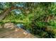 Tranquil waterfront dock with lush greenery providing shade and privacy at 1377 N Mcmullen Booth Rd # 1377, Clearwater, FL 33759