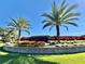 Entrance to Crescent Oaks community with palm trees and landscaping at 3181 Sterling St, Tarpon Springs, FL 34688