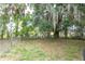 Fenced backyard with mature trees and grassy area at 1616 18Th Street E Ct, Palmetto, FL 34221