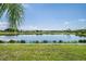 Serene pond view with lush green grass and golf course in the background at 1044 Blyth Hill Ct, Trinity, FL 34655