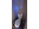 Small, separate toilet with visible lighting issues at 2312 22Nd Sw Ave, Largo, FL 33774