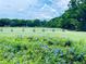 Driving range with lush green grass and blue flowers at 36750 Us Highway 19 N # 21-302, Palm Harbor, FL 34684