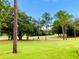 Landscaped golf course with tall trees and a spacious green at 36750 Us Highway 19 N # 21-302, Palm Harbor, FL 34684