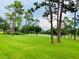Lush green landscape with mature trees and manicured lawn at 36750 Us Highway 19 N # 21-302, Palm Harbor, FL 34684