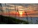 Beautiful sunset over the beach with sea oats at 7532 Bayshore Dr # 205, Treasure Island, FL 33706
