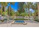 Relaxing community spa with surrounding tropical landscaping at 10823 Indian Hills Ct # 33, Seminole, FL 33777