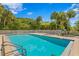 Inviting community pool with lush tropical landscaping at 10823 Indian Hills Ct # 33, Seminole, FL 33777