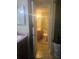 Clean bathroom with toilet and vanity at 7505 Pitch Pine Cir # 123, Tampa, FL 33617