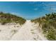 Private beach access path through lush sand dunes at 18 Heilwood St, Clearwater Beach, FL 33767