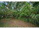 View of a lush, wooded backyard area at 6199 59Th N Pl, St Petersburg, FL 33709